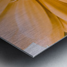 Decorative closeness Metal print