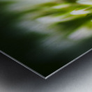 Nature Details Metal print