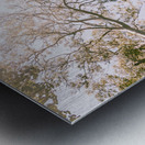 In Springnificant Metal print