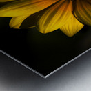 Beginning Of Spring In Flower Metal print