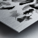 Flock in feather Metal print