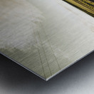 Way out yonder Metal print