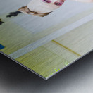 Broken Heart Metal print