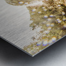 Falls explorer Metal print