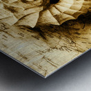 Seahorse Seas Metal print