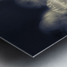 Crepsiculs – An awakening Metal print