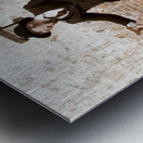 Man Jumping For Joy Metal print