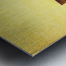 Clothespins and dandelions Metal print