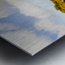 Peaceful countryside panorama Metal print