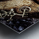 Biking trail scene Metal print