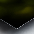 Colourful australian dragonfly at insect crossing Metal print