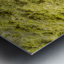 Forest footbridge Metal print