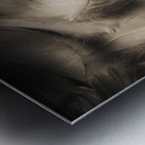 Soft contrasts Metal print