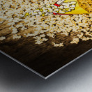 Cinema of entertainment Metal print