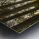 Vibrant autumn hillside Metal print