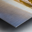 Golden Hour Metal print