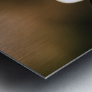 Moth insects on a bright and lush garden flower Metal print