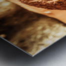 Butter shortbread biscuits Metal print