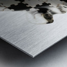 The human quest Metal print