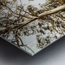 Bush views and lookouts Metal print