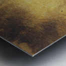 Dawn of a new day texture Metal print