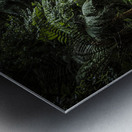 Wild rivers  Metal print