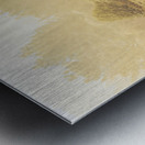 Stallion homestead Metal print