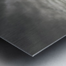 The next chapter Metal print