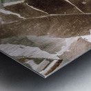 De Composition Metal print