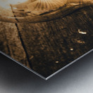 Still life inspiration Metal print