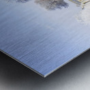 Fine art winter scene Metal print