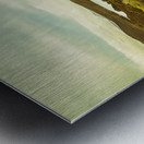 Lighthouse Bay Beach Bruny Island Metal print