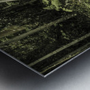 Dense tropics Metal print