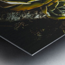 Desert flowers Metal print