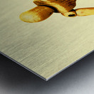 Balsa Boarder 1970 Metal print