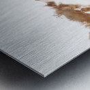 Wild west water fall Metal print