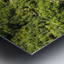 St Columba Falls Tasmania Metal print