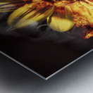 Flames of passion and intimacy Metal print