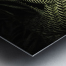 The exotic dark jungle Metal print