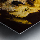 Mask of theatre Metal print