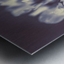 Wild beauty Metal print