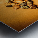 Marine Seashell Seahorse Design Metal print