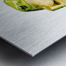 Green Tree Frog Metal print