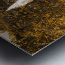 Tasmanian waterfall landscape Metal print