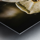 Fractal flower Metal print