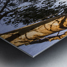 Framing stillness Metal print