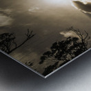 Reflections from Adventure Bay Metal print