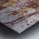 Washes of warmth Metal print