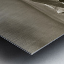 West Coast Range Tasmania Metal print