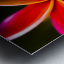 Touch of summer Metal print